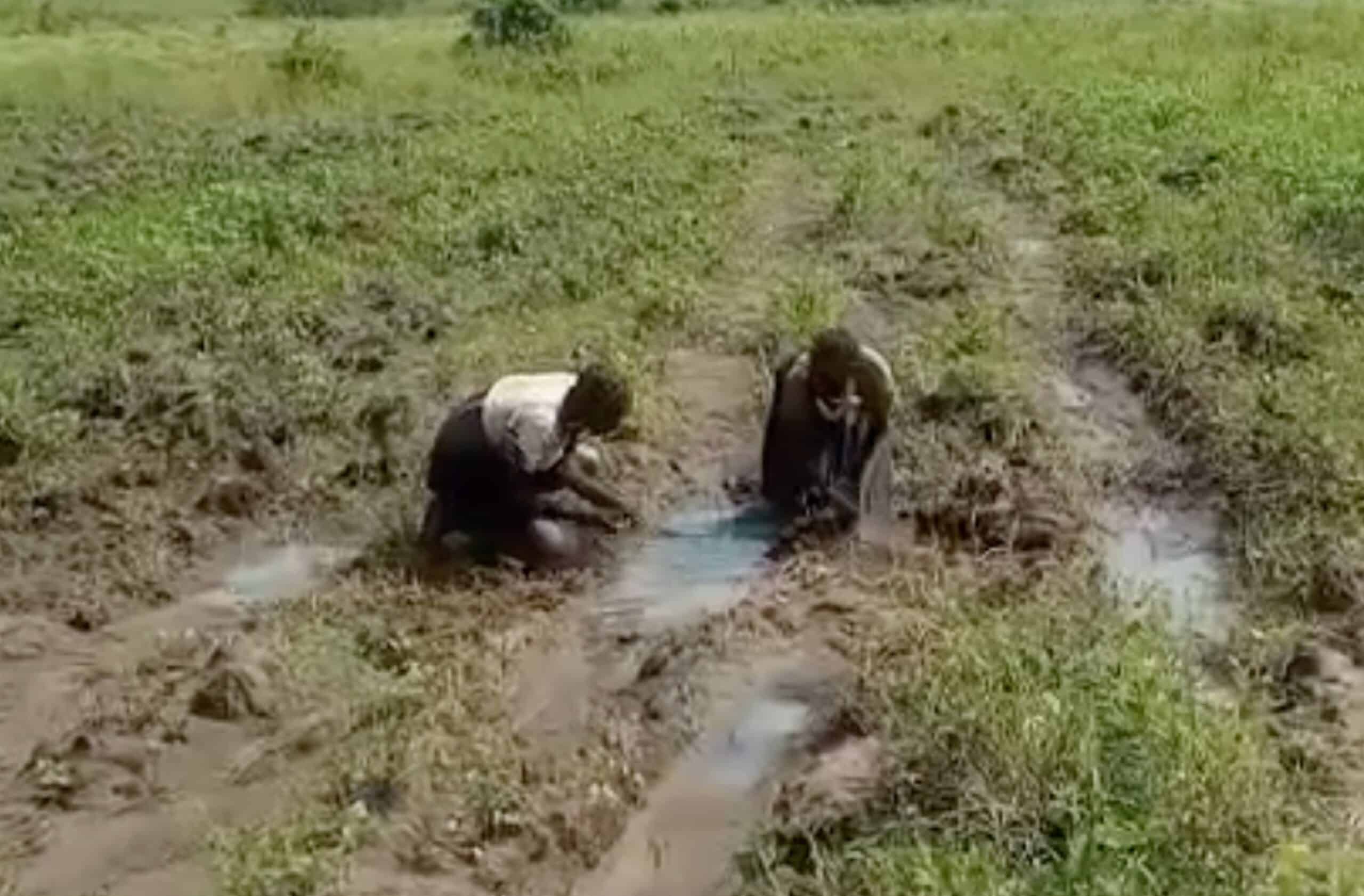 Women in Kaabong, Uganda, collecting water from contaminated puddle.